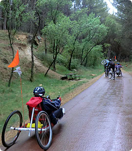Senderismo y ciclismo adaptado por paisajes &uacute;nicos. V&iacute;as Verdes y Pecuarias.