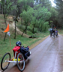 Senderismo y ciclismo adaptado por paisajes únicos. Vías Verdes y Pecuarias.